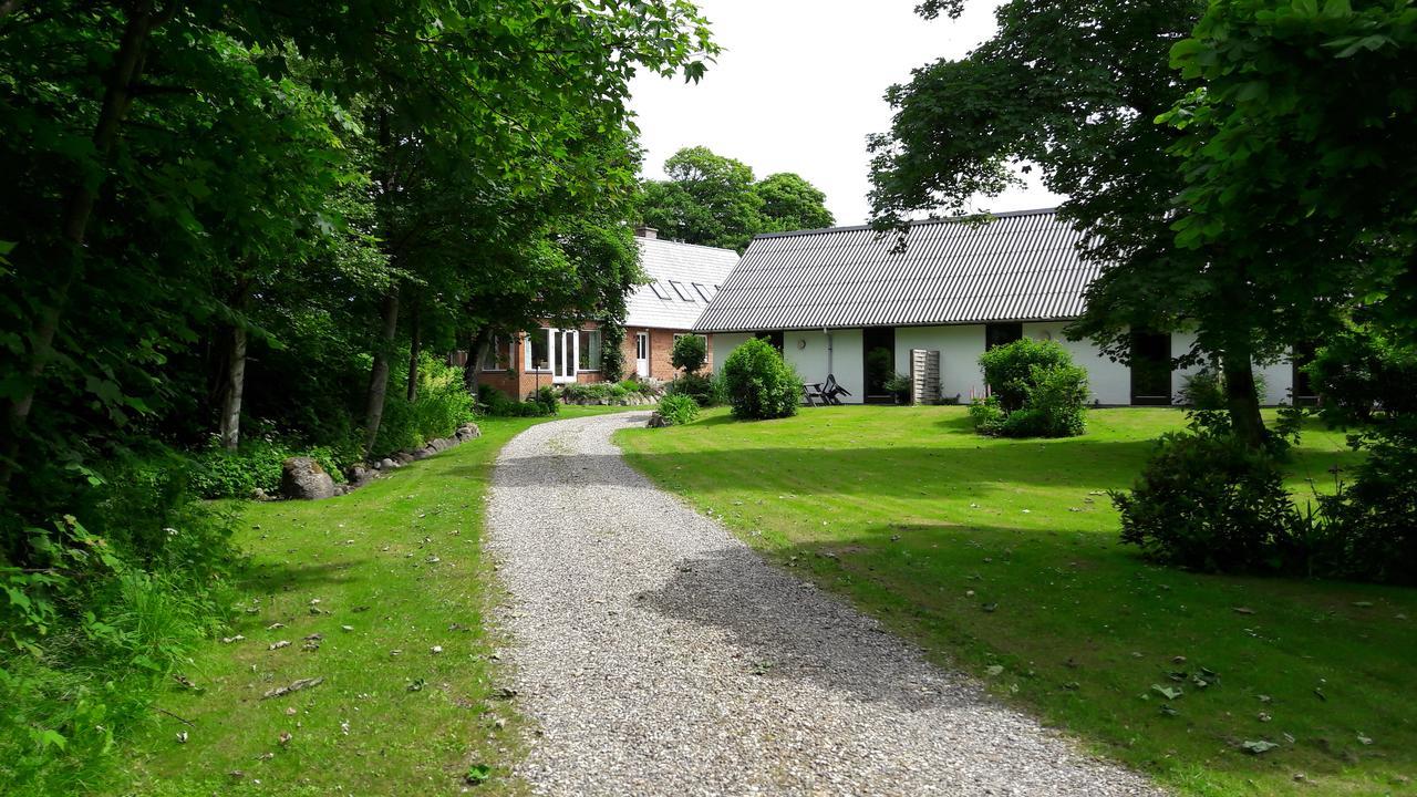 Lyngbjerggaard Ferieboliger - B&B Fjerritslev Exterior foto